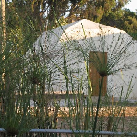 Yarok Az - Ecolodge Farm Ilaniya Kamer foto