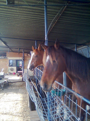 Yarok Az - Ecolodge Farm Ilaniya Buitenkant foto