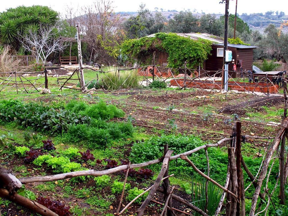 Yarok Az - Ecolodge Farm Ilaniya Buitenkant foto